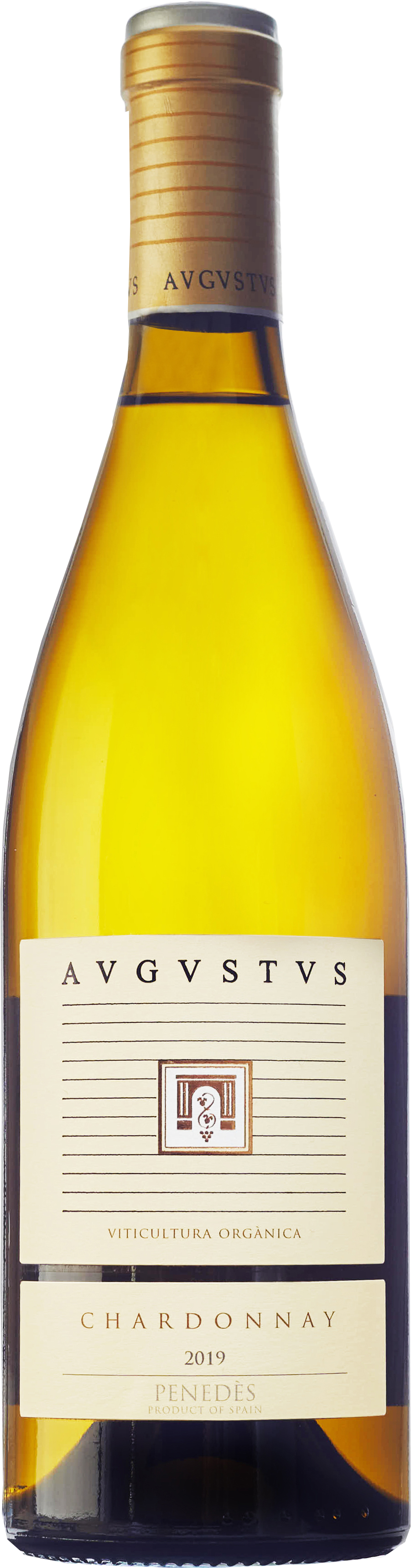 Avgvstvs Chardonnay 2021
